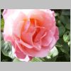 20030802_013.html