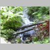 20030803_012.html