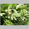 20030803_018.html