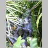 20030803_019.html