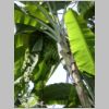 20030803_020.html