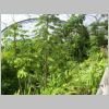 20030803_030.html
