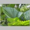 20030803_034.html