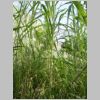 20030803_035.html