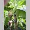20030803_036.html