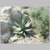 20030803_042.html