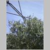 20030803_044.html