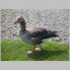 20030805_009.html