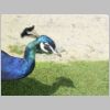 20030805_010.html