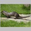 20030805_016.html