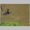 20030805_018.html
