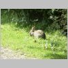 20030805_030.html
