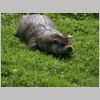 20030805_035.html