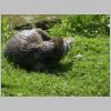 20030805_036.html