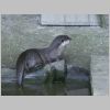 20030805_041.html