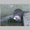20030805_044.html