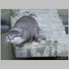 20030805_045.html