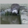 20030805_046.html