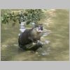 20030805_047.html