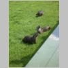 20030805_048.html