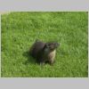 20030805_049.html