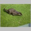 20030805_050.html