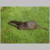 20030805_051.html