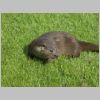 20030805_052.html