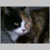20030806_015.html