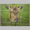 20030807_005.html